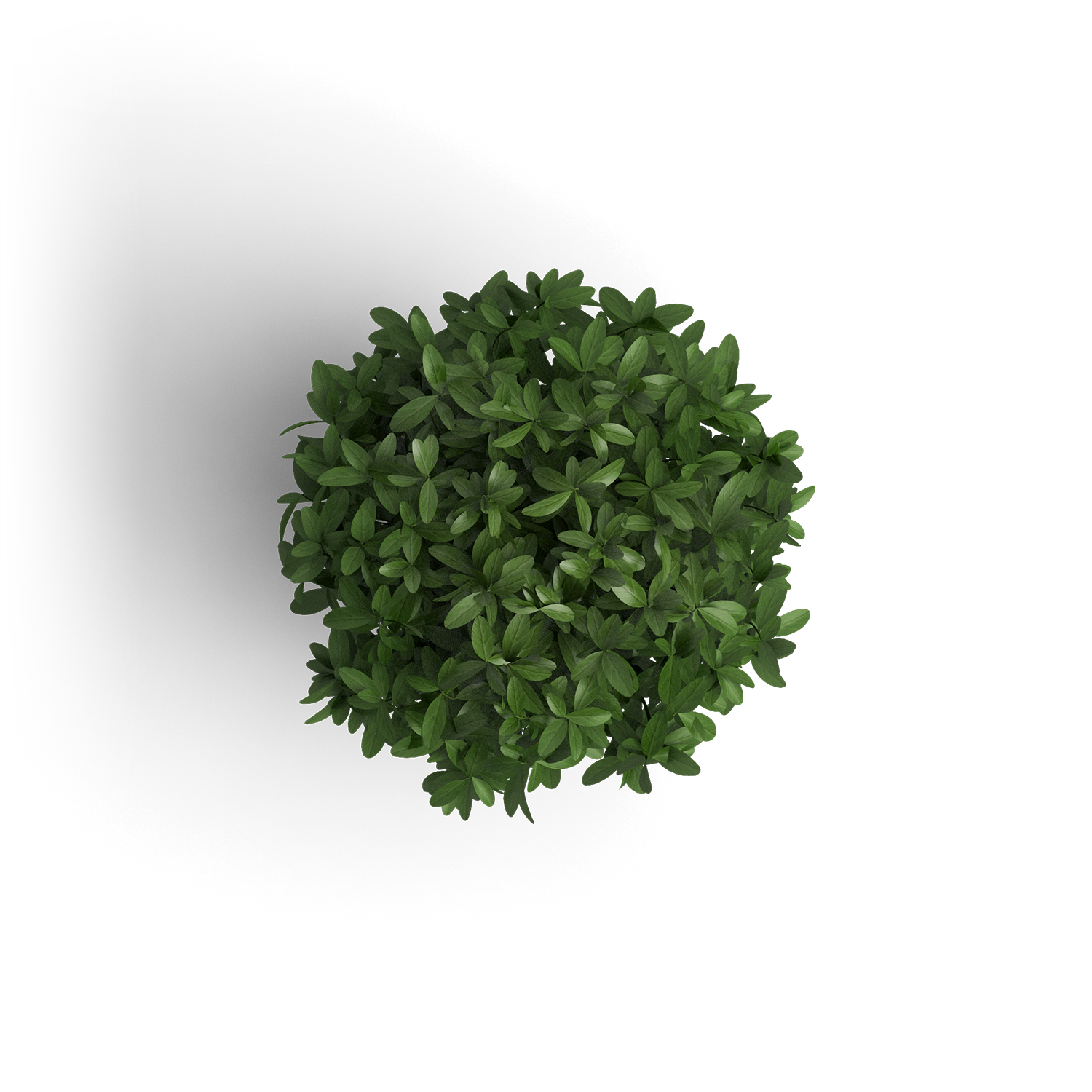 object plant 1