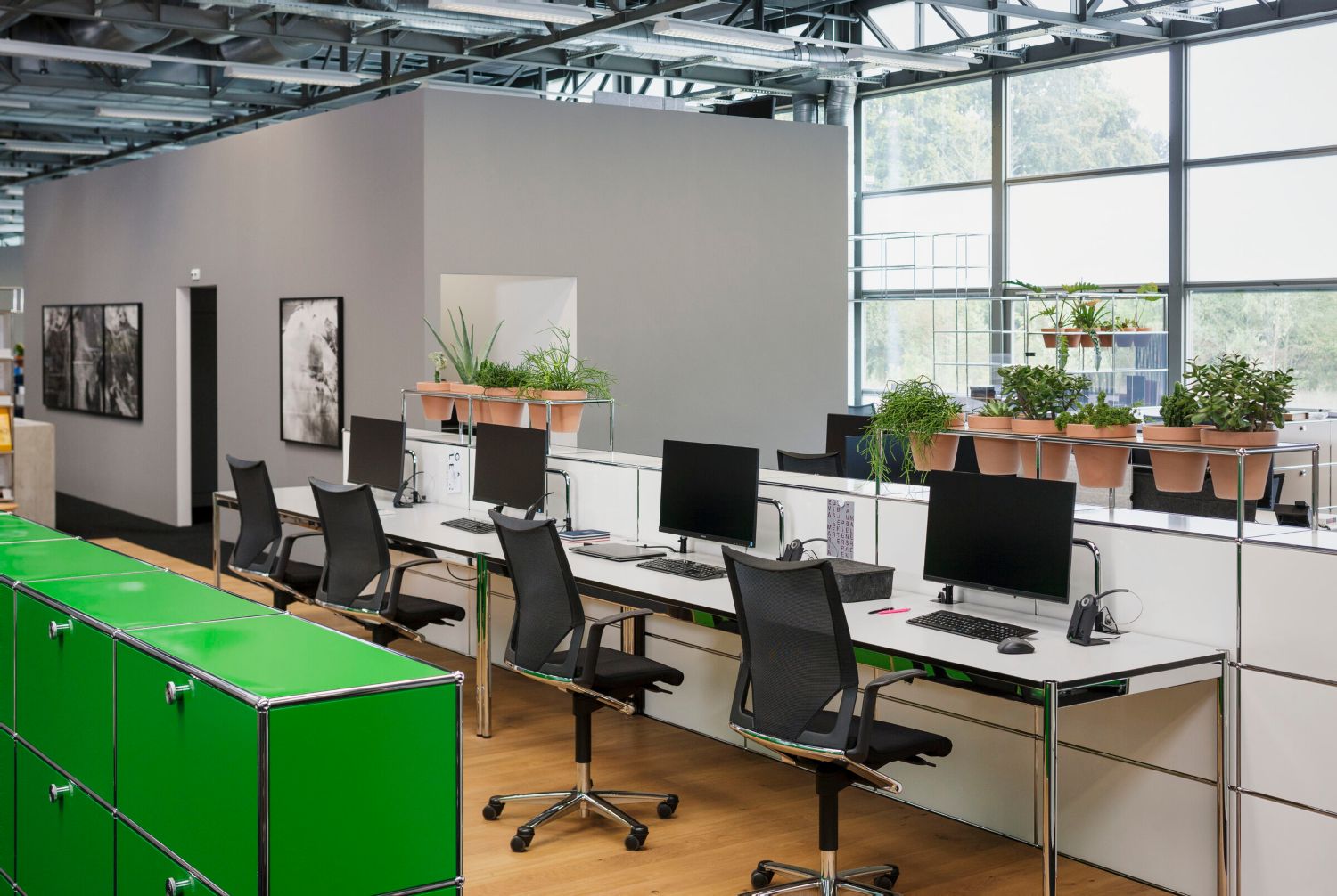 vegetacion en la oficina oficinas sostenibles