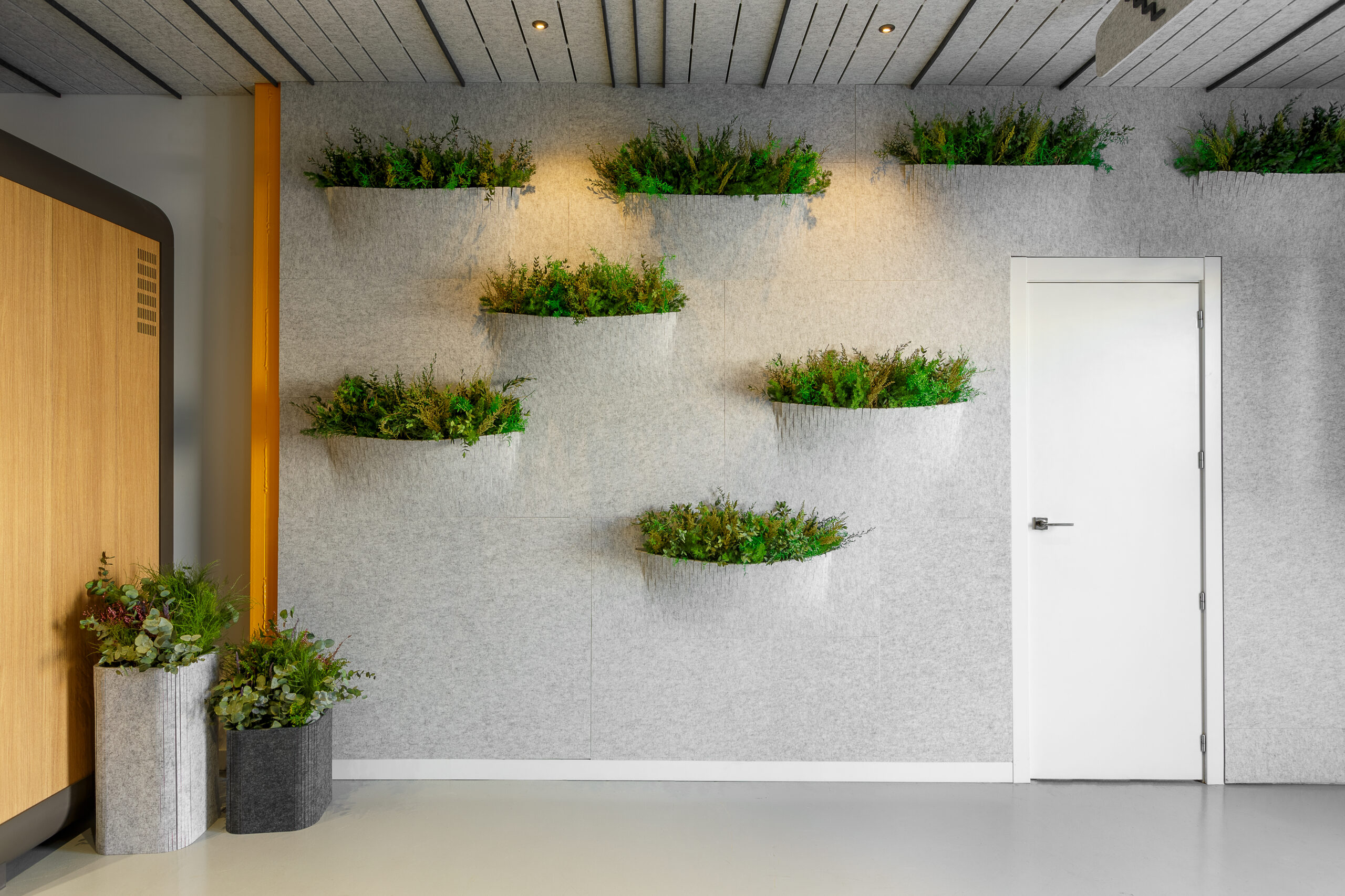soluciones acústicas para oficinas - paredes acústicas